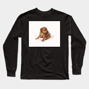 Miniature Pinscher puppy Long Sleeve T-Shirt